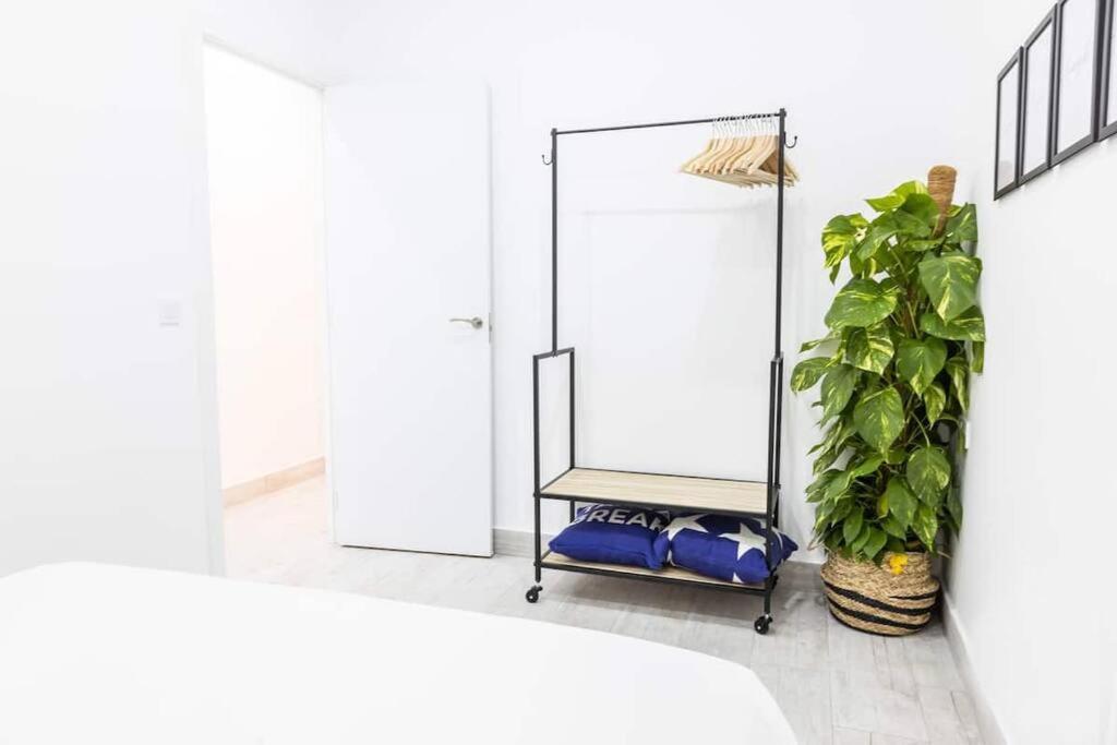 La Casa Del Mercader By Gades Gestion Cadice Esterno foto